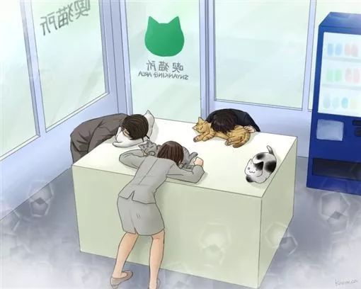 猫咪体味能防癌！？为了健康请大口吸猫！