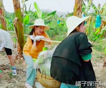 陈星旭|陈星旭张婧仪因戏生情？新剧互动甜炸初具爆相，正主摁头嗑糖