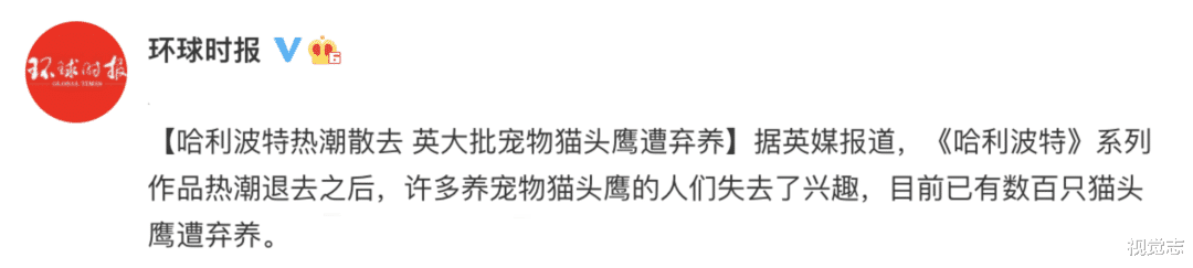 视觉志|一个被逼死的网红 。