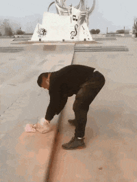 |“如果下面的动物选择一样灭绝，你会选什么？”网友的答案都是一致的，哈哈哈哈哈