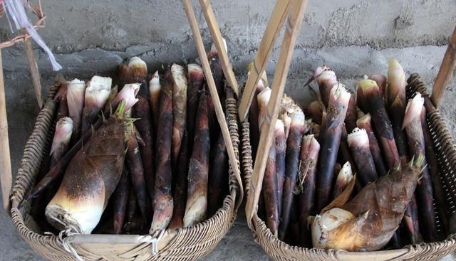 食材@立夏，这8种美味要多吃，顺应时节，营养丰富，轻松过完整个夏天