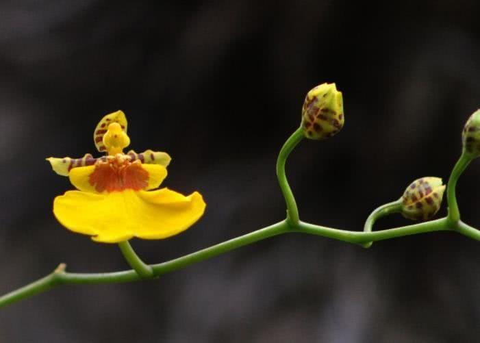 生肖|10月开始，被好运包围，财运飙升，名利兼得的四大生肖