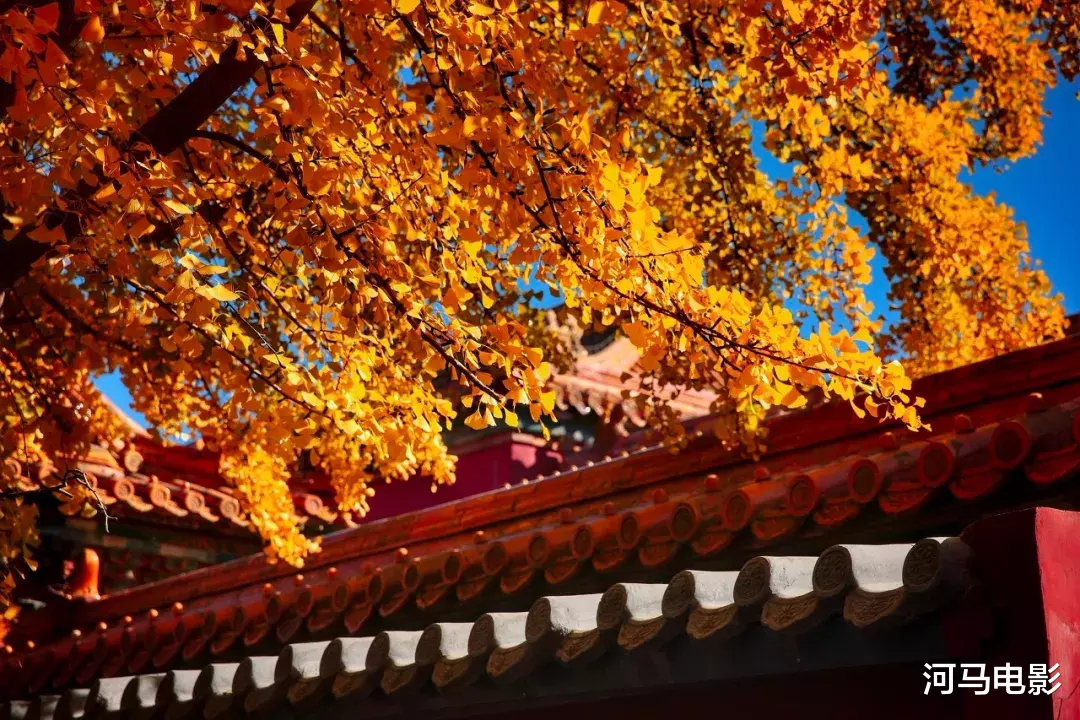 成都|秋天最值得去的八座古城,你去过几个?