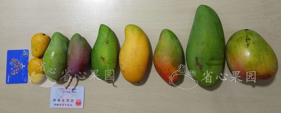 五花肉|如何才能做一个合格的吃货？