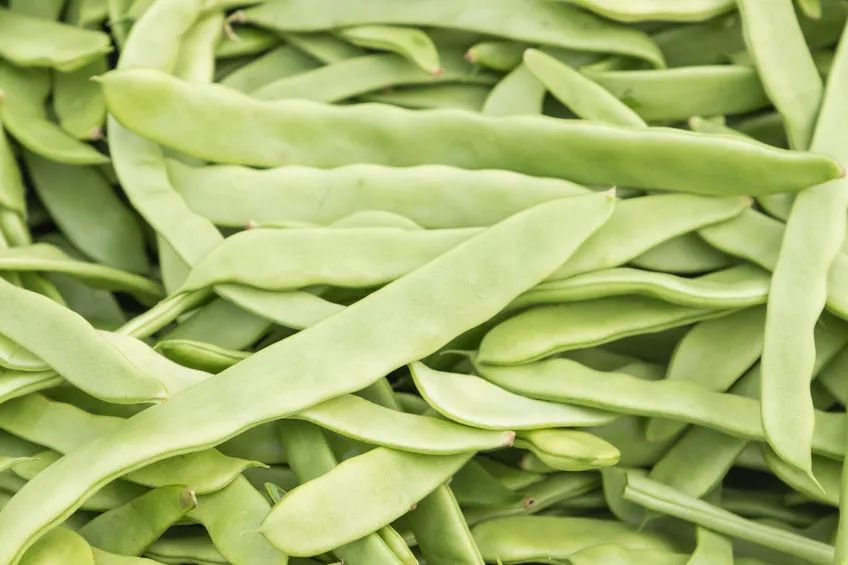 「西红柿」不敢相信!这些蔬菜竟是\致癌菜\?很多人都不知道