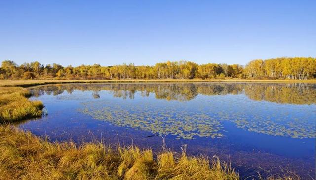 「房车」世界级风景区群就在你眼前!房车自驾带你穿越国家一号风景大道!