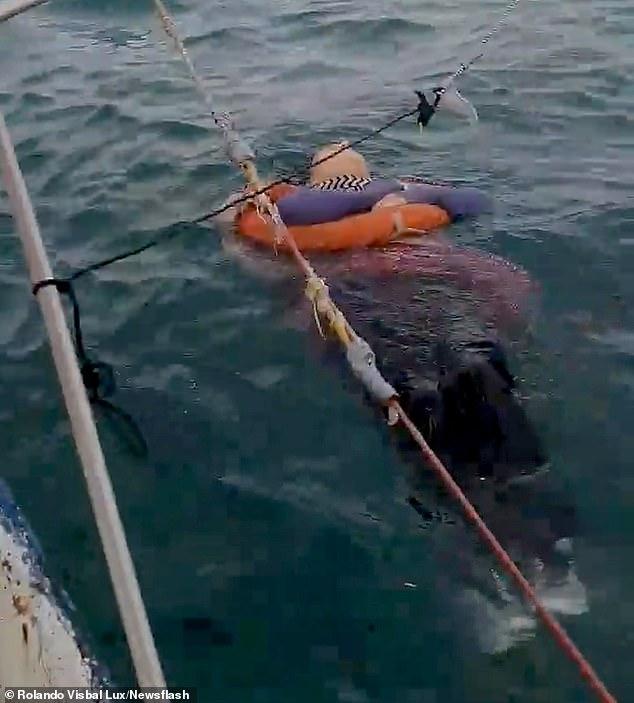 英国英鸟|外国女子与家人失联2年，漂在海面8小时被船夫发现，仍有生命体征