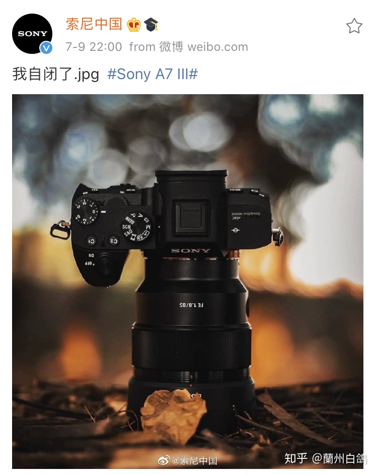 索尼|能让索尼自闭的佳能相机，是手机逼出来的？