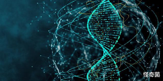 基因|十万年后，人类可能进化成这五种形态，你最向往哪种？
