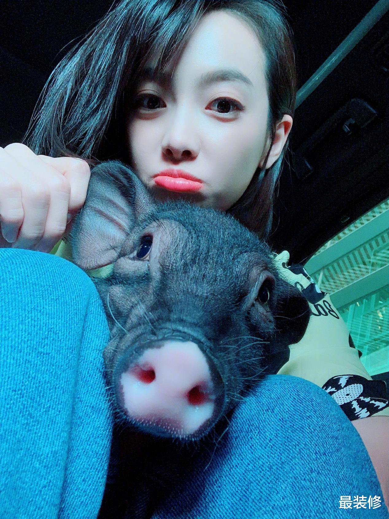 |不想生孩子,却喜欢养猪的宋茜,豪宅装修奢华,连猪都睡婴儿床