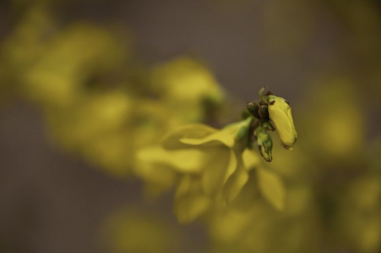 #生肖#7月份开始，月老迎面笑，姻缘来汇合，旧情再起不离不弃的4大生肖