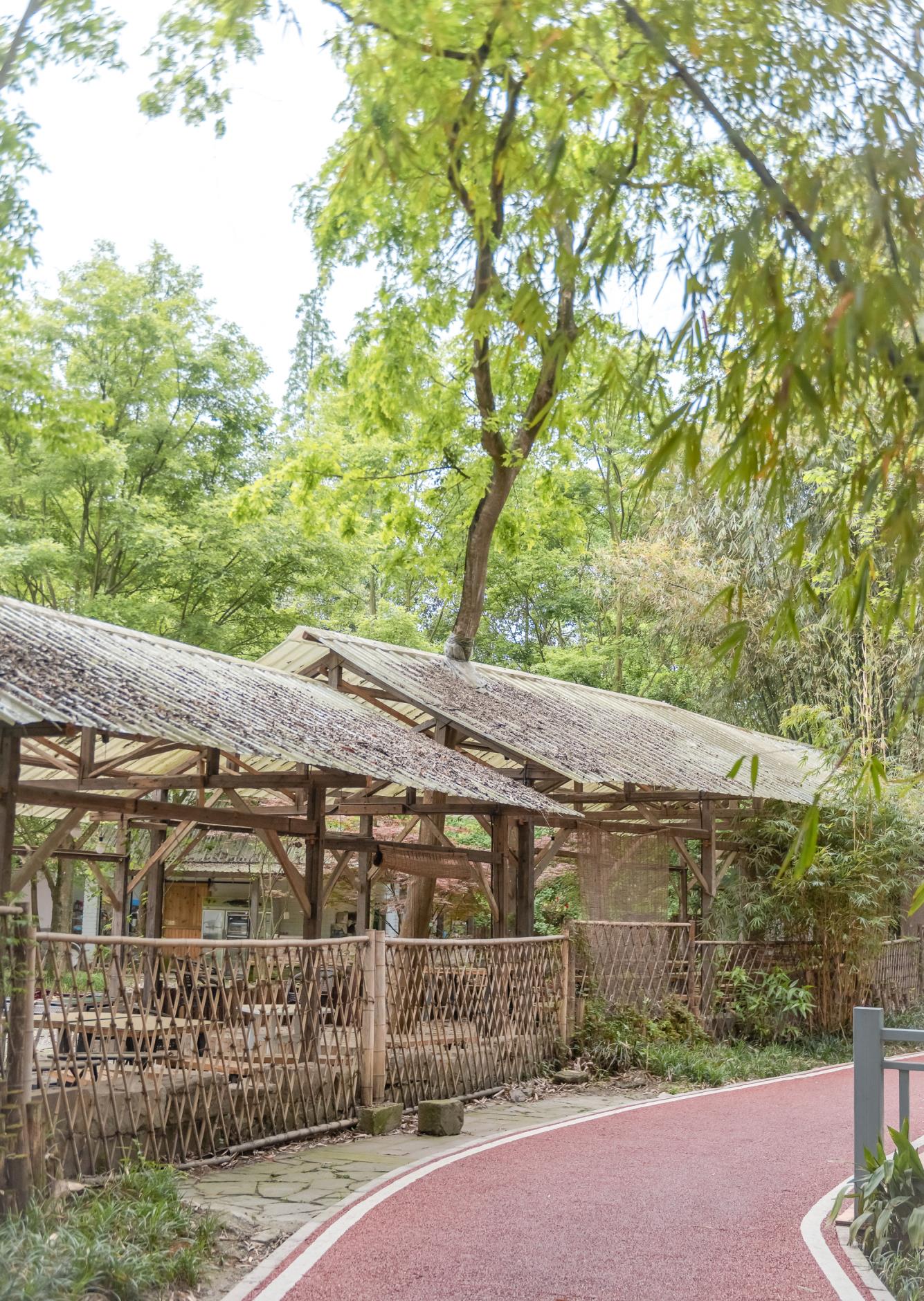 成都■成都人的散步绿道有多浮夸?沿途都是茶馆和农家乐,还能烧烤垂钓