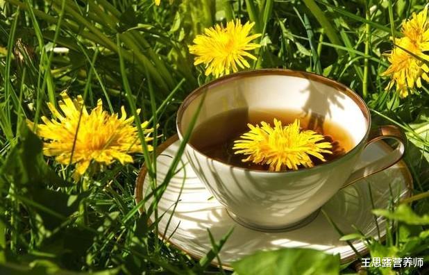 抗癌@喝蒲公英水的利弊是什么?能天天喝吗?