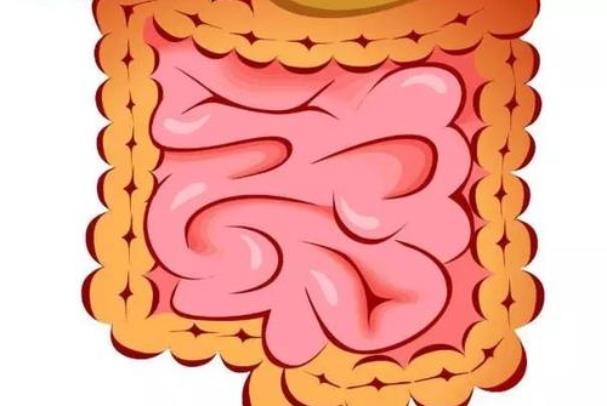 睡眠|大肠瘤到来之前,身体会有这5个明显的信号,学会3招来预防!