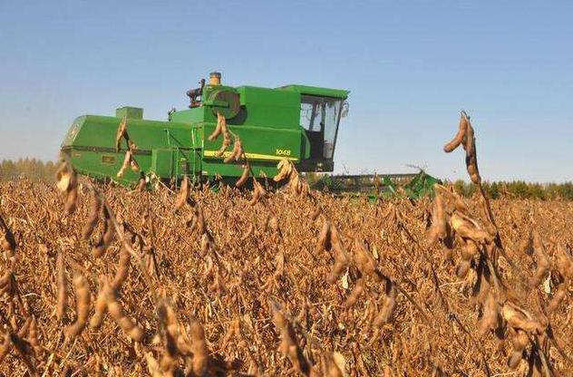 猪肉|中国这次被孤立?12国相继停止对华猪肉供应,没想俄国也落井下石