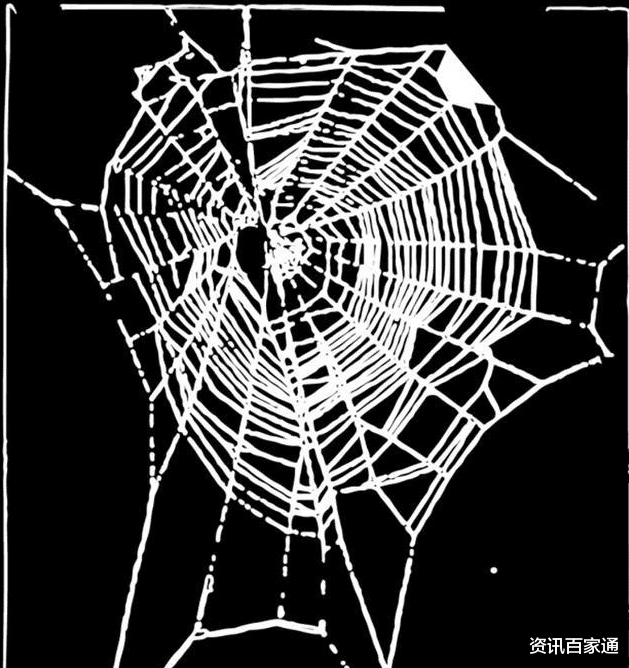 蜘蛛▲吸毒有多可怕？看看“嗑药”后的蜘蛛织的网就知道了