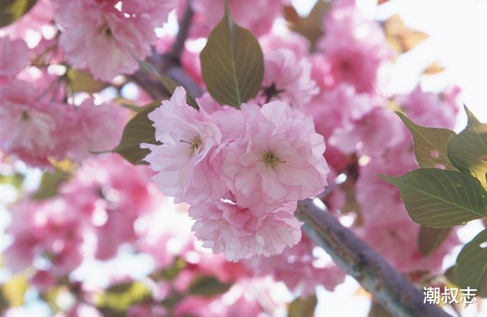 生肖|接下来一周财运大红大紫，3大生肖贵人帮衬，福气进门