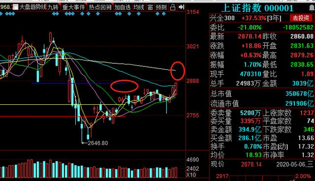 跌停@庄股跌停出货？换手仅0.32%，跌停封单2.4亿（附股）