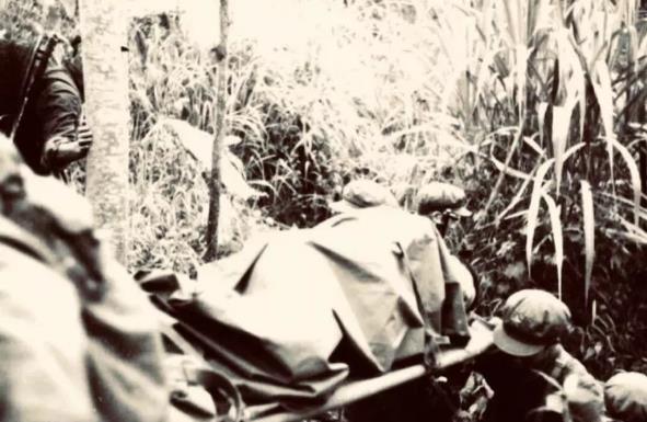 中越关系|1979年中越战争：不曾公开的“35227烈士转运站”，内附真实照片