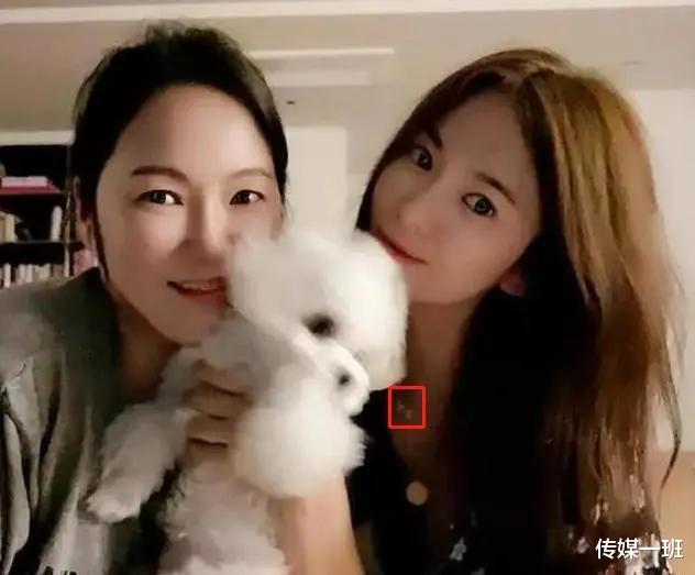 宋慧乔|宋慧乔离开宋仲基，转身又和玄彬来场世纪大复合？比韩剧更狗血