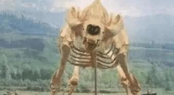 [大熊猫]7种动物死后的骨骼，完全认不出来它们活着的模样，大熊猫太狰狞