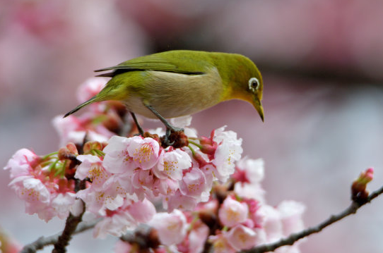 ##下个月7月开始，财运更上一层楼，4属相吉祥如意，喜事接二连三，富裕安康