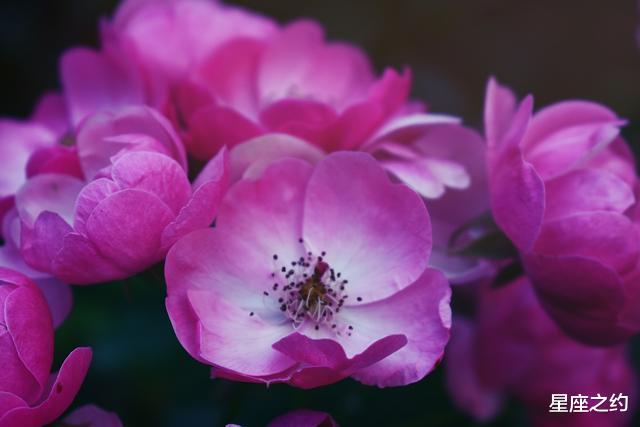 『天蝎座』在7月份，突破瓶颈，节节攀升，如鱼得水的三大星座