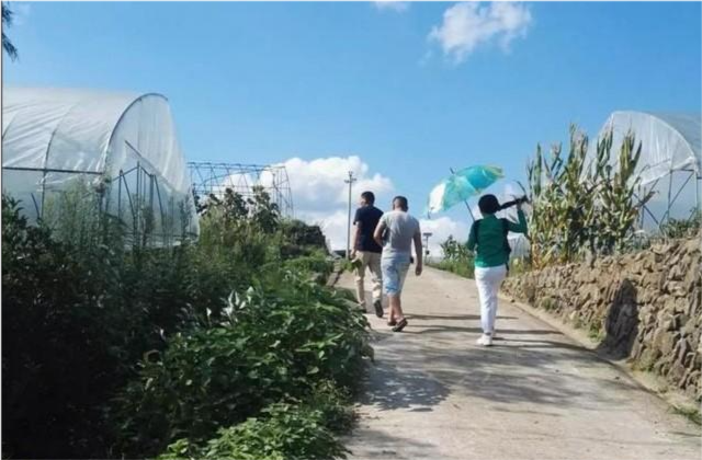 果然悠|在农村办啥工厂，不污染环境还有不错的收益？老农给了3条路子