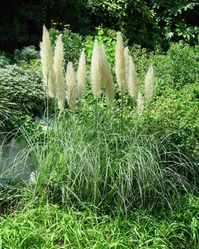 「吉星」未来两个月贵人上门，4属相吉星高照，财运滚滚，富贵又幸福