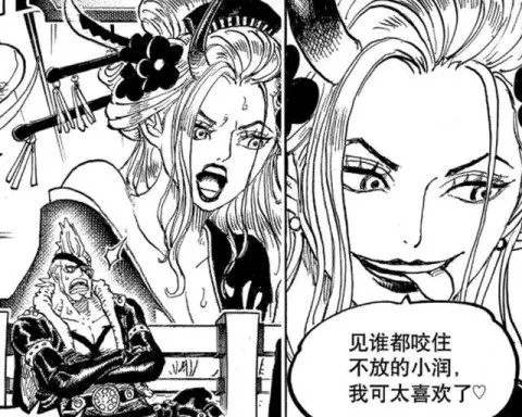 996|海贼王996话情报更新：大和是恐龙，小玉收服恐龙姐弟情报是错误的！但是山治又盯上了艺伎！