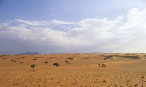 塞罕坝|从一棵树到一片\海\ ‖来自塞罕坝林场的‘绿色奇迹’