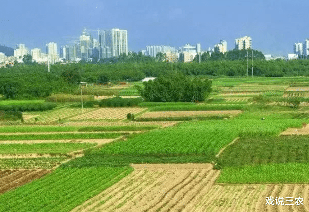 戏说三农|永久退地每亩最高补10万，农民却不愿意！为啥？老农道出3点实情