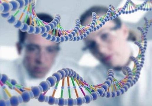 外星人|科学家推测几百年后男性可能会消失,进化成“新男性”,为何?