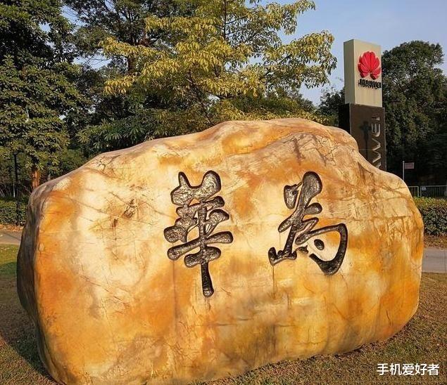 芯片:杨澜采访清华紫光董事长赵国伟当前国产芯片水平,赵国伟:相当于抗战时期水平