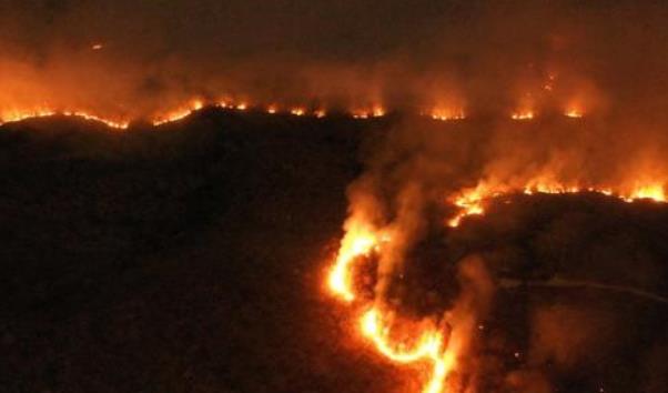 #卫星#2020年发生这么多灾难，到底什么原因？美国卫星无意中找到了答案