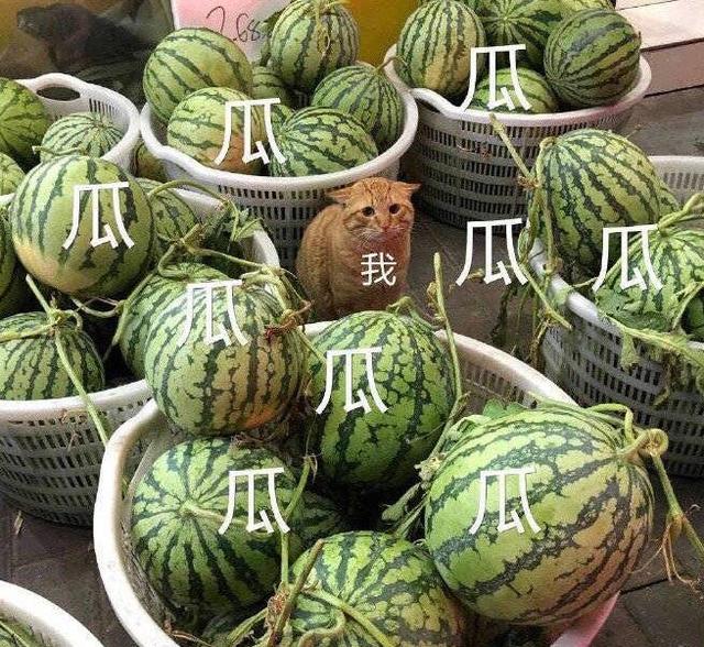 黄轩@罗志祥分手连累潘玮柏？小号被扒热情与女网红勾搭，黄轩也被牵连