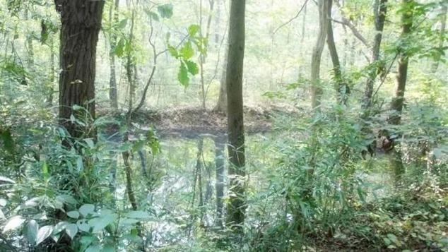 【戴笠】戴笠墓地：7个老农挖了7天才挖开，死前给蒋介石发了一封神秘电报