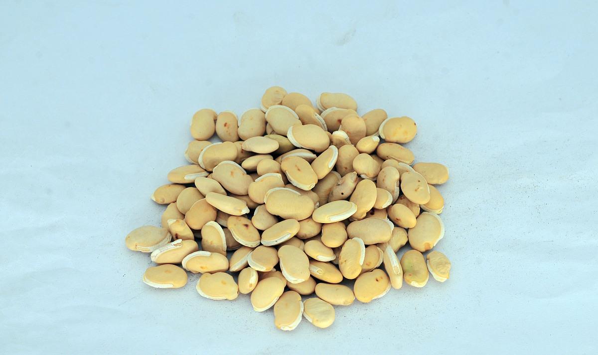 「咳嗽」湿气是“吃”出来的？它堪称“加湿器”，再爱吃也劝你管住嘴