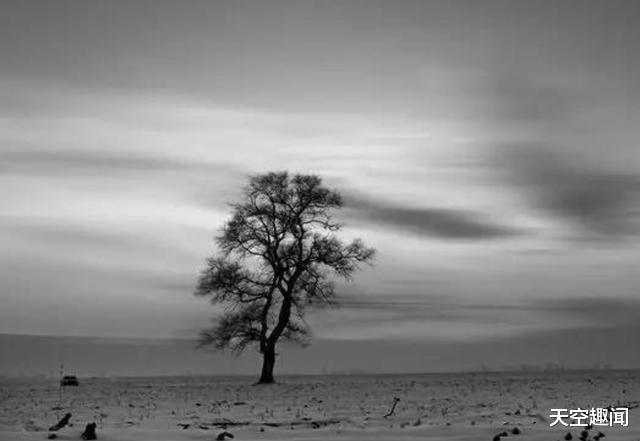 探测器|2大超自然现象,真实存在的神秘事件,至今未有合理解释