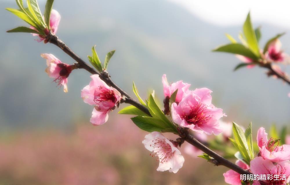 「金牛座」6月27号，睡着能笑醒！3生肖不得了，天上掉财、地上生金，大富大贵躲不掉