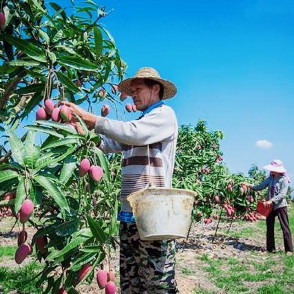 阿里巴巴@紧急关头，马云和刘强东两大电商巨头终于出手