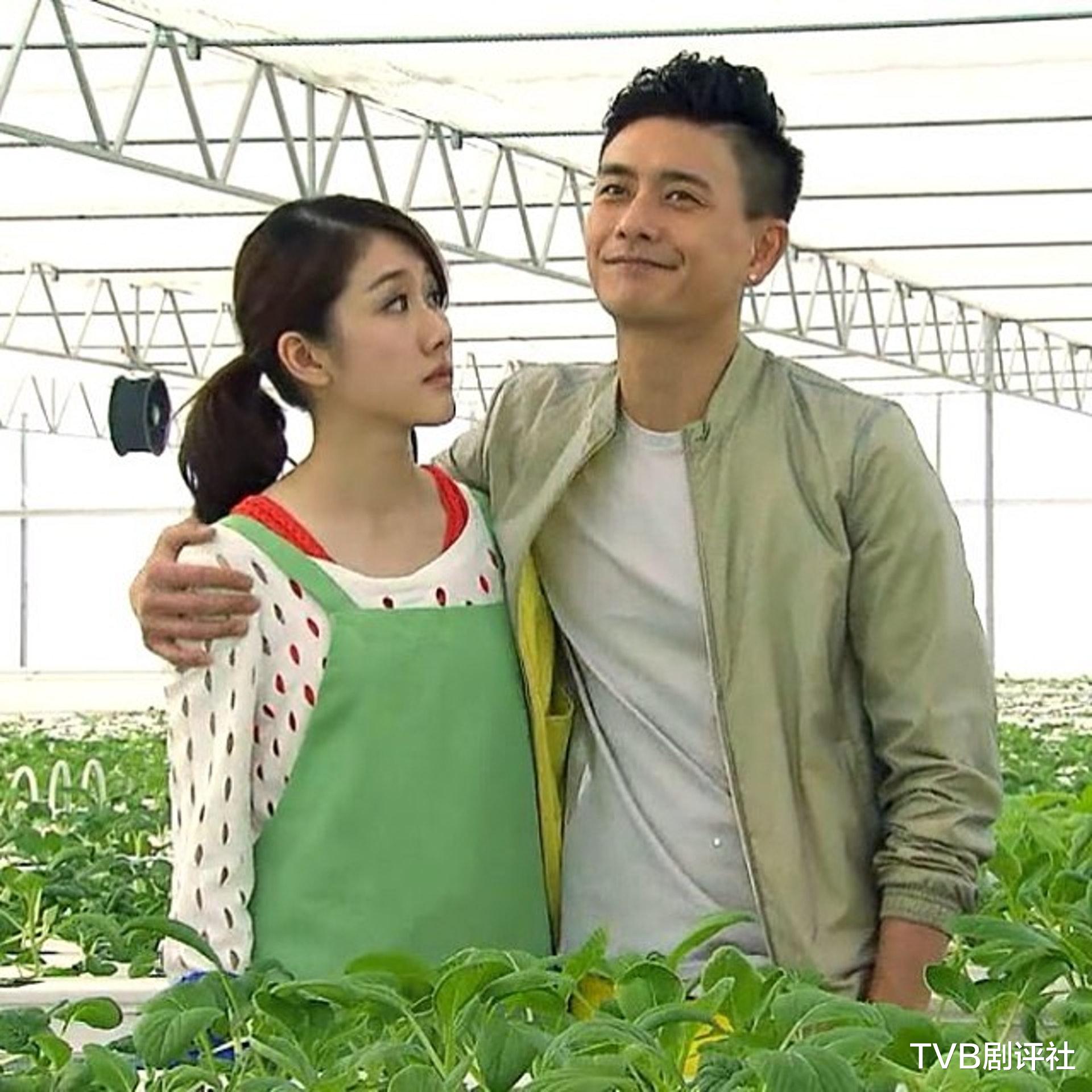 TVB|TVB力捧四小花做新剧女主角，陈晓华仅入行两年就担正女一