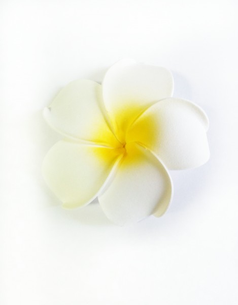 生肖▲7月份初期，甜蜜相伴，4大生肖喜得姻缘上上签，爱情圆满