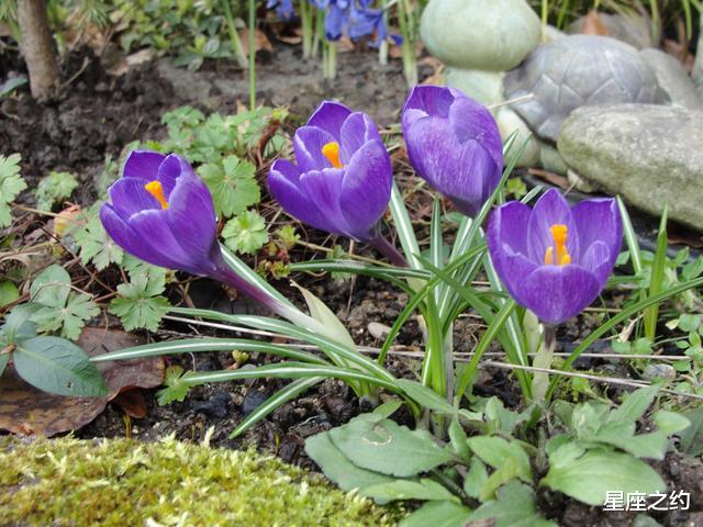 【双鱼座】从7月份开始，身经百战，脱胎换骨，元气满满的三大星座