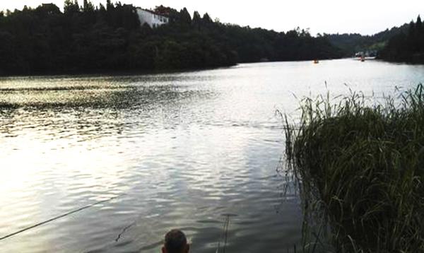 |这些事让钓鱼人很痛苦,没有七八年钓龄是体会不到的