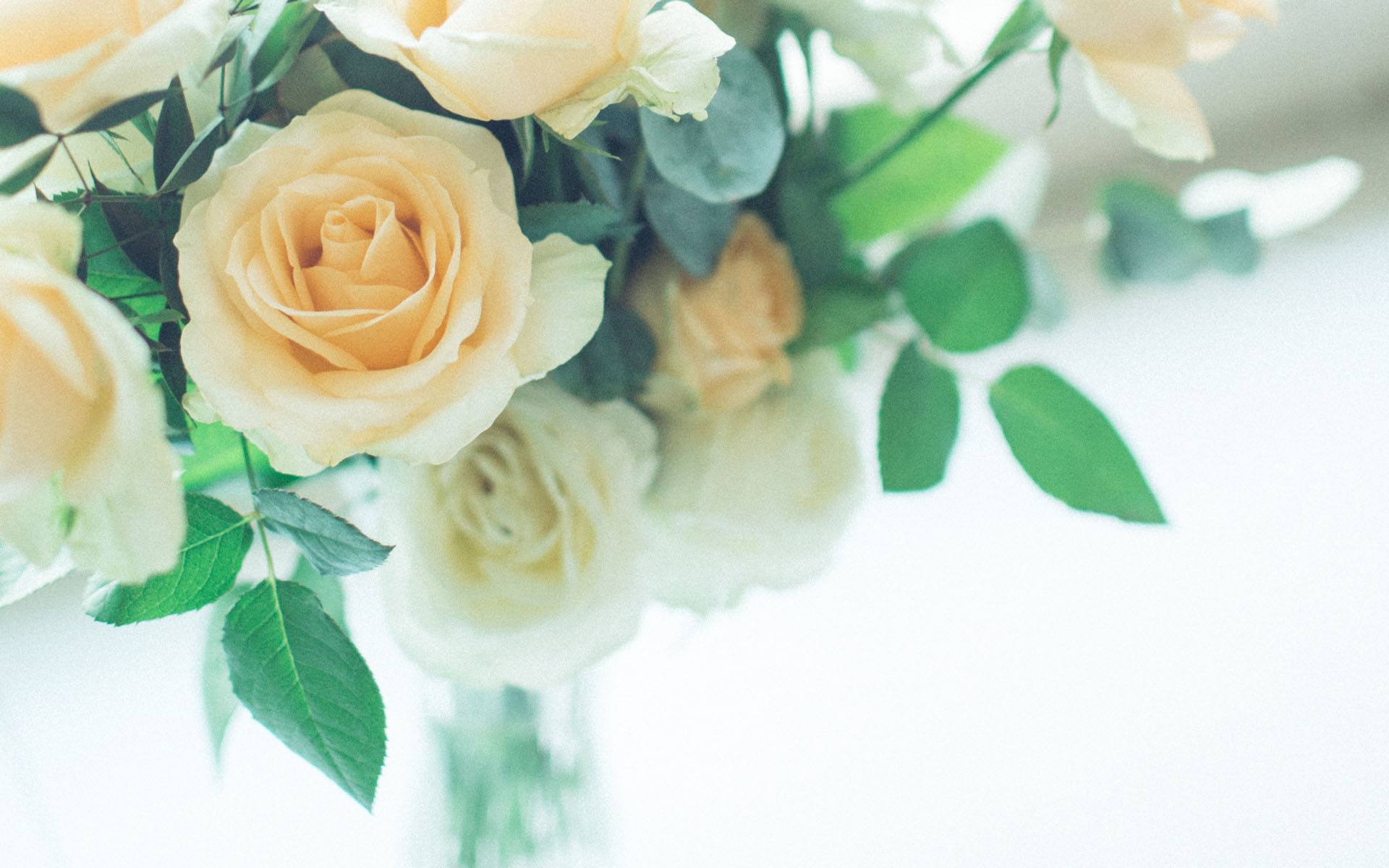 双鱼座|一旦选择就会不离不弃，对爱情和婚姻最有可能从一而终的三大星座