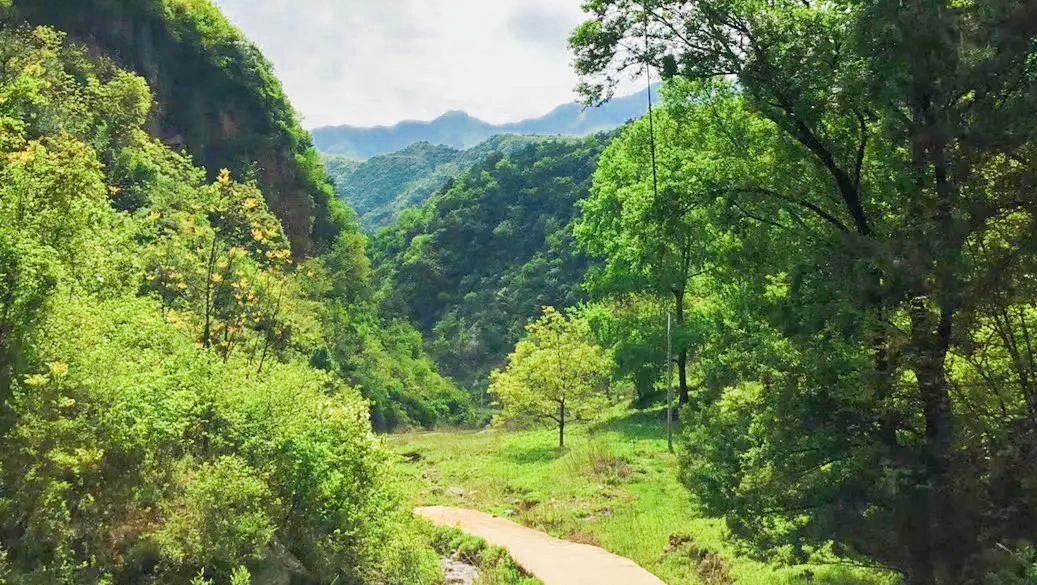 「澳门」秦岭山中隐藏着四级瀑布，飞流直下，爬上垂直云梯，感受震撼奇景