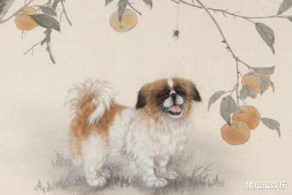 生肖|生肖狗：不出三天会遇到下面3个人，将是你一生的大贵人