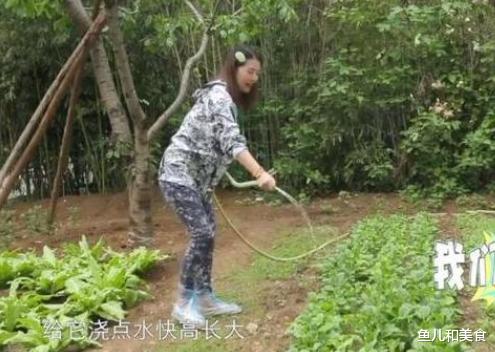 |周海媚住上亿别墅,菜地10万一平米,宠物狗有独立卧室和专用浴缸