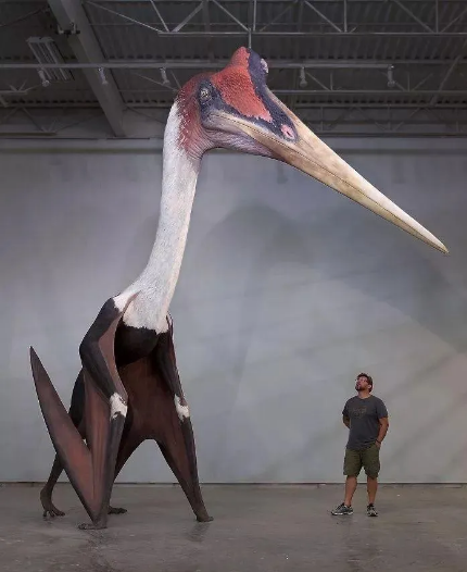 |30个你想象不到的庞然“大”物，又涨姿势了！